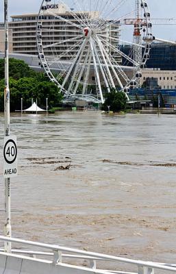384px-Wheel_of_Brisbane_and_the_flooded_