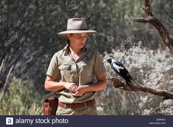 Australia, NT, Alice Springs. Alice Springs Desert Park. Park ranger Stock  Photo - Alamy