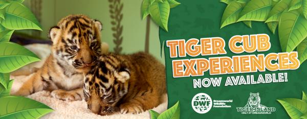 180110-010 Tiger Cub Experience_1680x650 banner.jpg