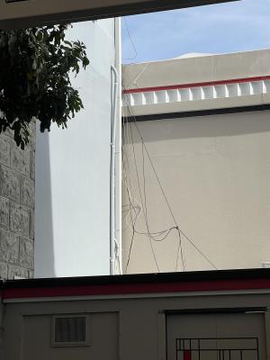 IMG_5157.thumb.jpeg.c8c32bdb5462814bf43f9b9ebb5c695d.jpeg