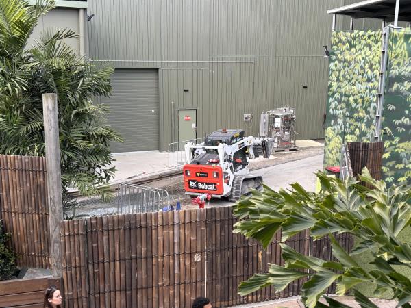 IMG_8462.thumb.jpeg.3f38ee77cd2306d2ed6c790a8d3d2dda.jpeg