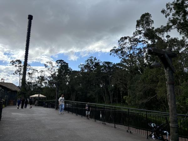 IMG_8464.thumb.jpeg.75cccc4f823f8c25057a69eca8ec2d41.jpeg
