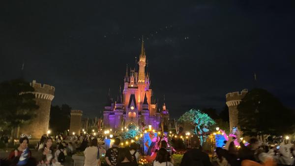 IMG_0863.thumb.jpeg.0d449dbc17f614b19b8e49b65d0557b3.jpeg