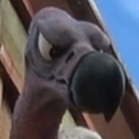 Ogre
